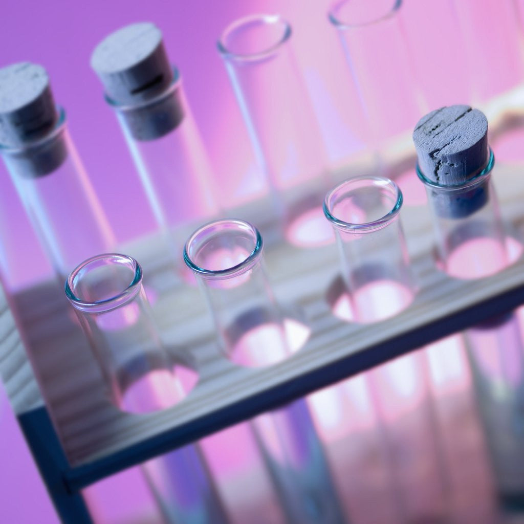 Detail of Test Tubes by Anonymous