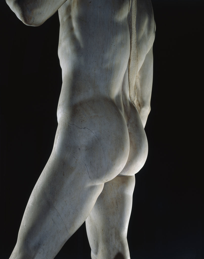 Detail of Detail of David by Michelangelo