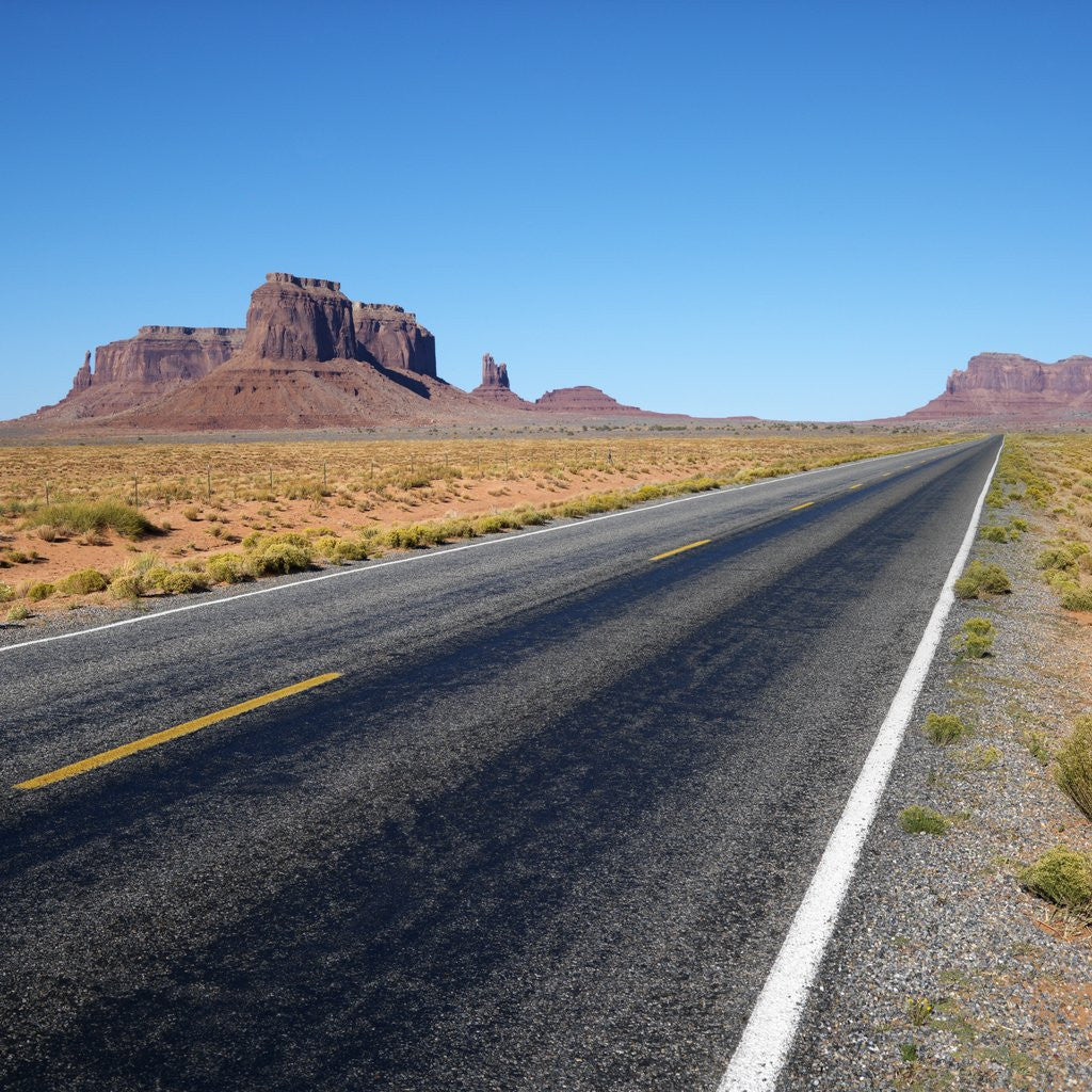 Detail of Desert Road by Corbis