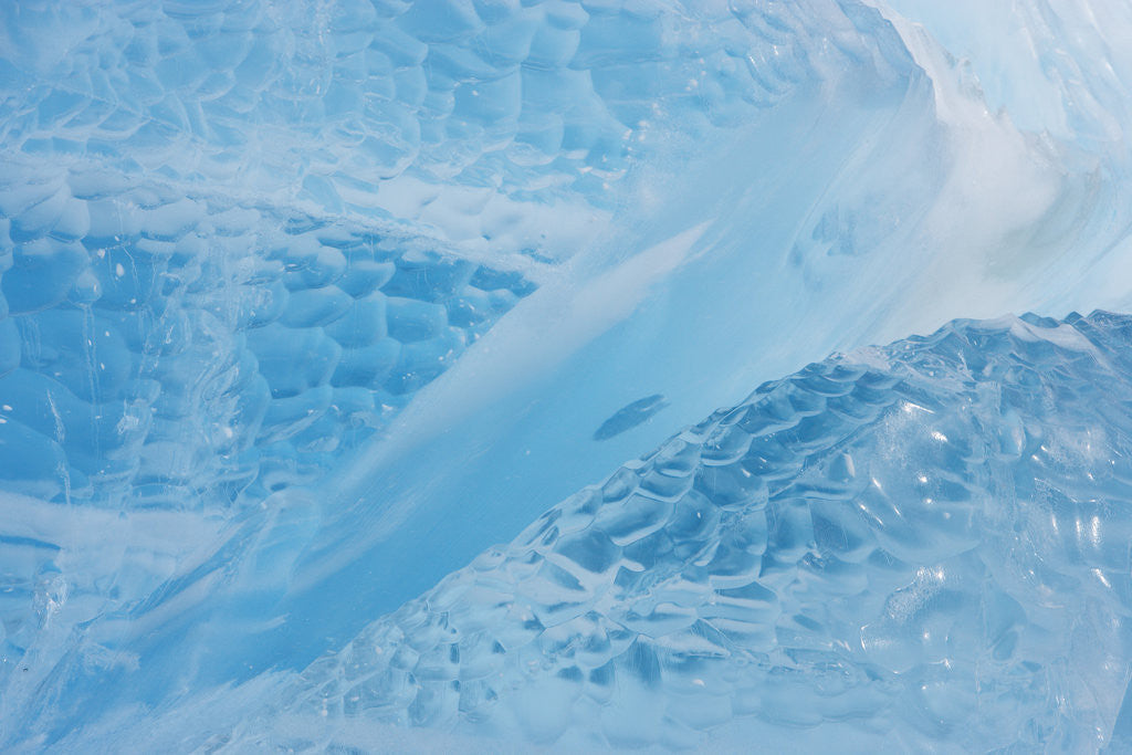 Detail of Neumayer Glacier on South Georgia Island by Anonymous