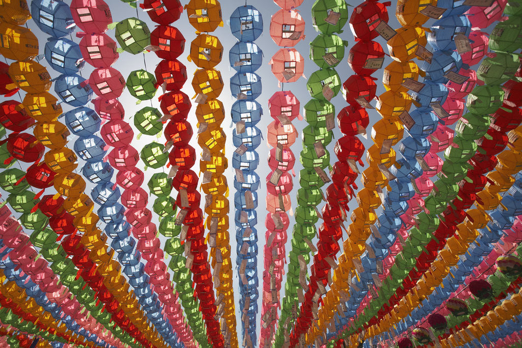 Detail of Paper Lanterns at Hangang River Park by Anonymous