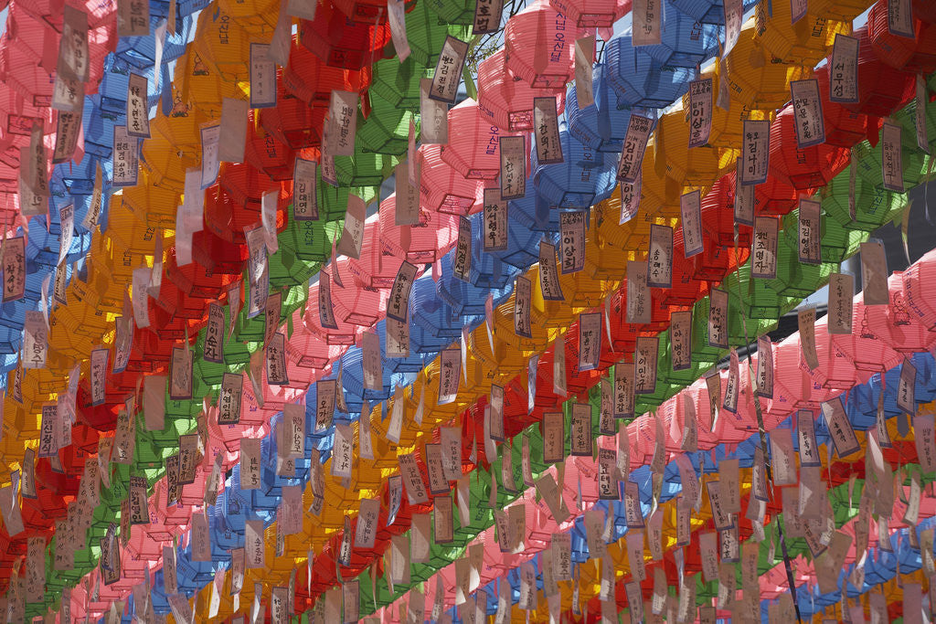 Detail of Paper Lanterns at Hangang River Park by Anonymous