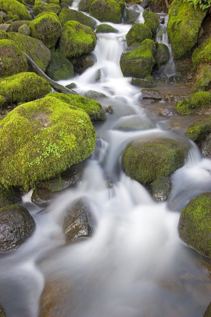 Detail of Small Creek by Anonymous