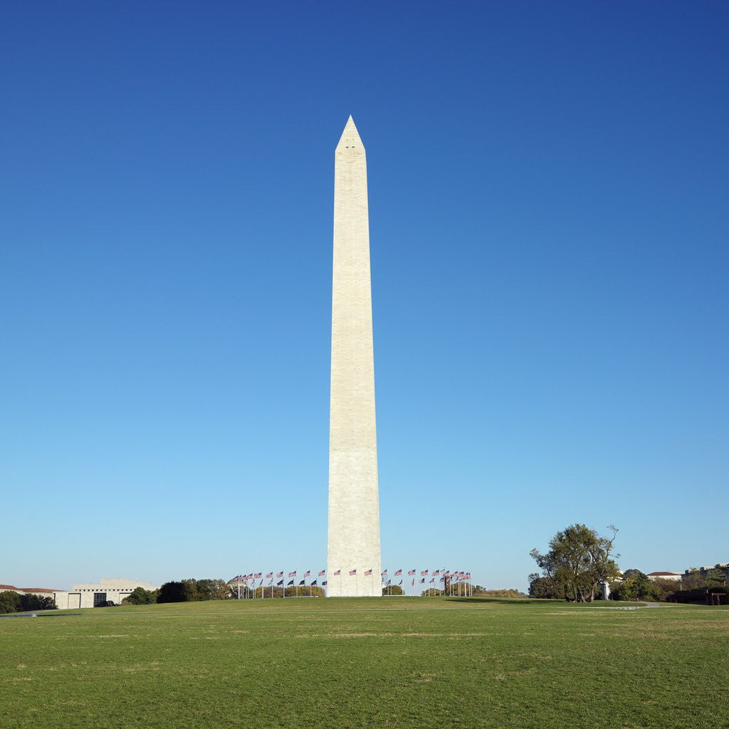 Detail of Washington Monument and Reflecting Pool by Anonymous