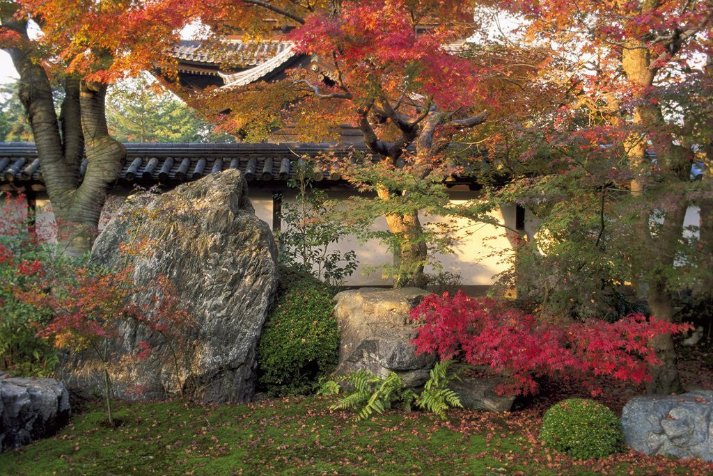 Detail of Autumn Foliage in Japanese Garden by Corbis