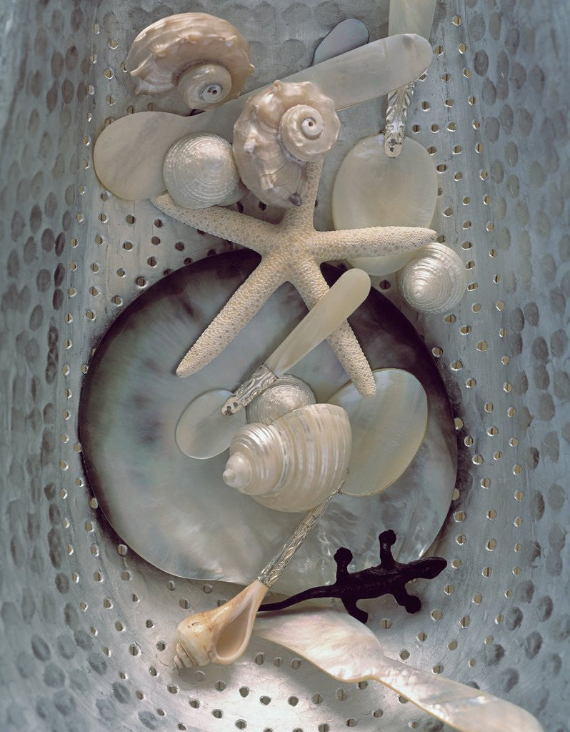 Detail of Nacre Cutlery with Shells and Starfish by Anonymous