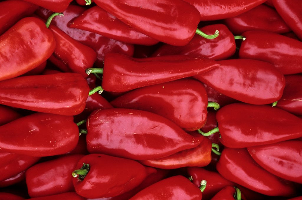 Detail of Red Peppers For Sale Near Pogacarjev Trg Square by Anonymous