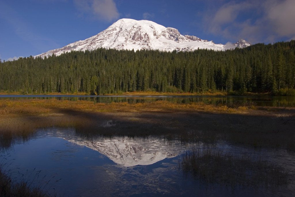 Detail of Mount Rainier and Reflection Lake by Anonymous