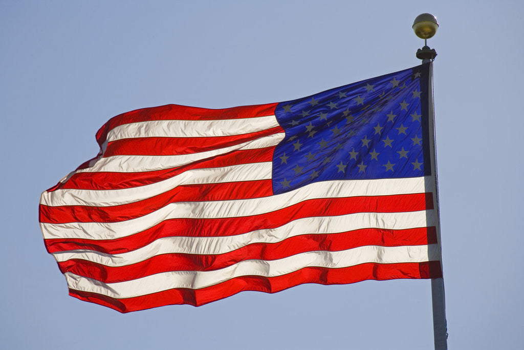 Detail of American Flag on Flagpole by Anonymous