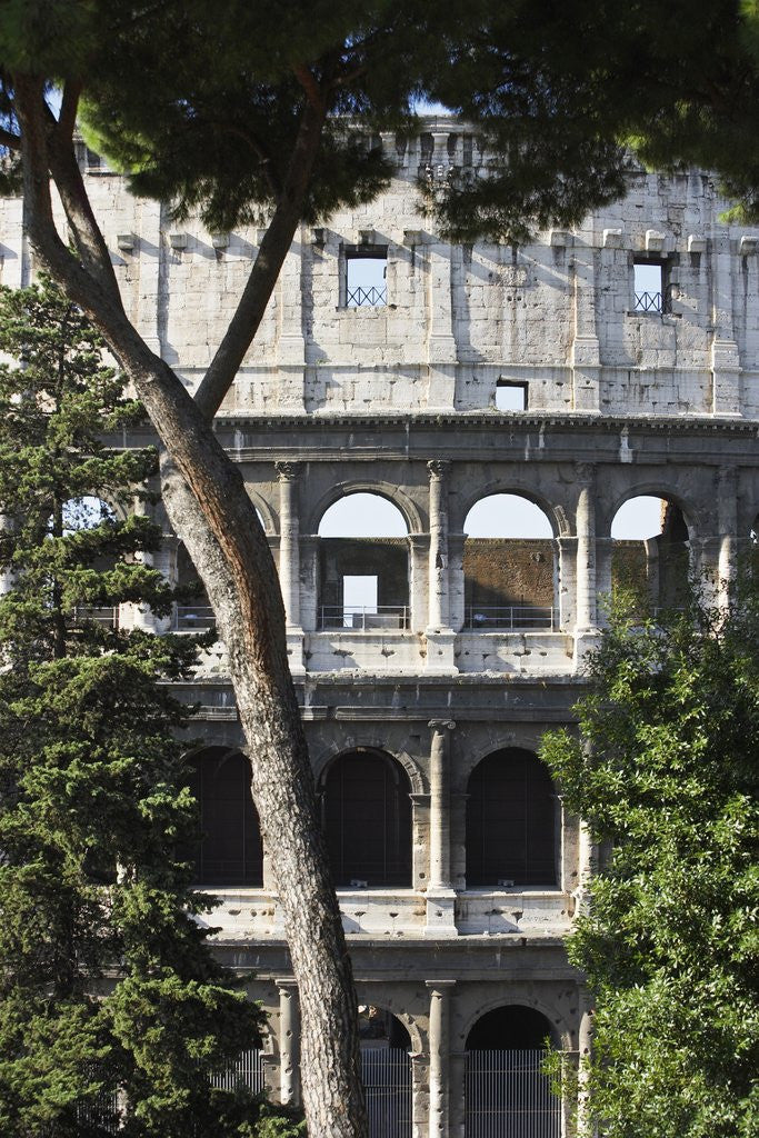 Detail of The Colosseum by Anonymous