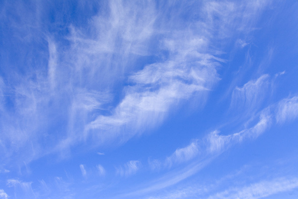 Detail of Feathery Cirrus Clouds by Anonymous