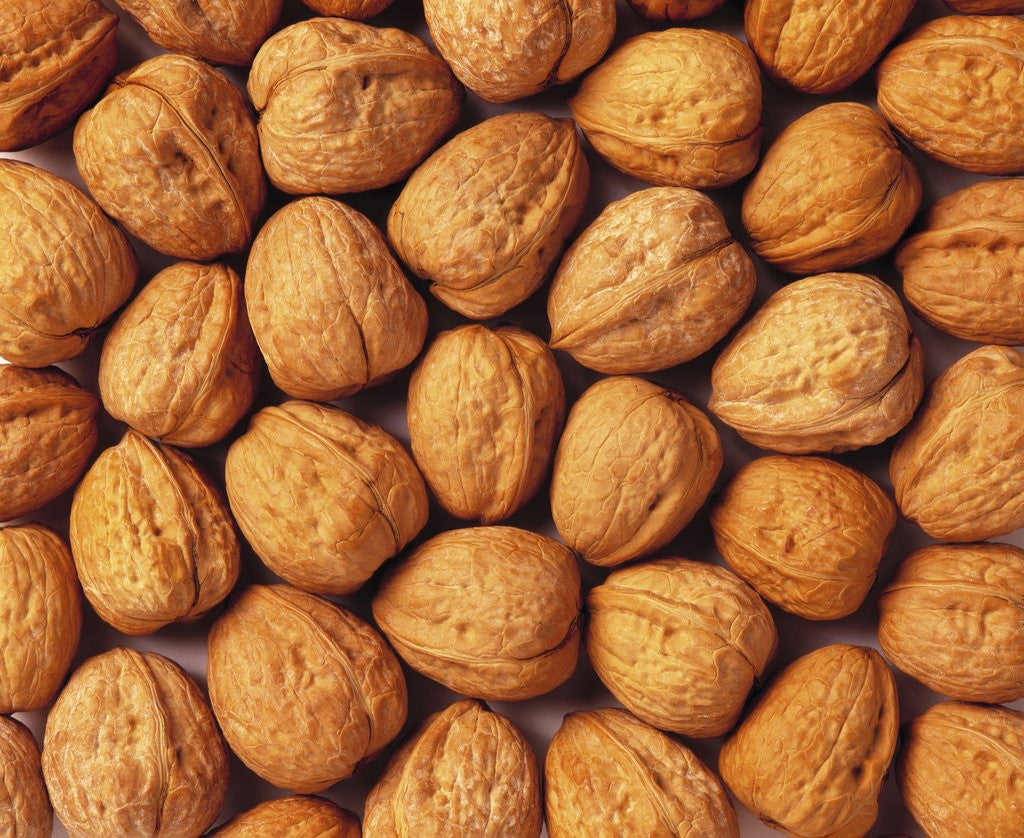 Detail of Walnuts by Anonymous