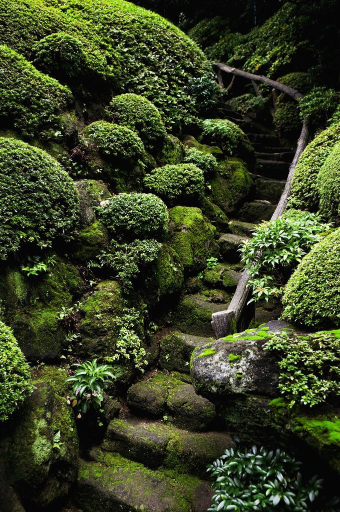 Detail of Footpath Through Garden by Anonymous