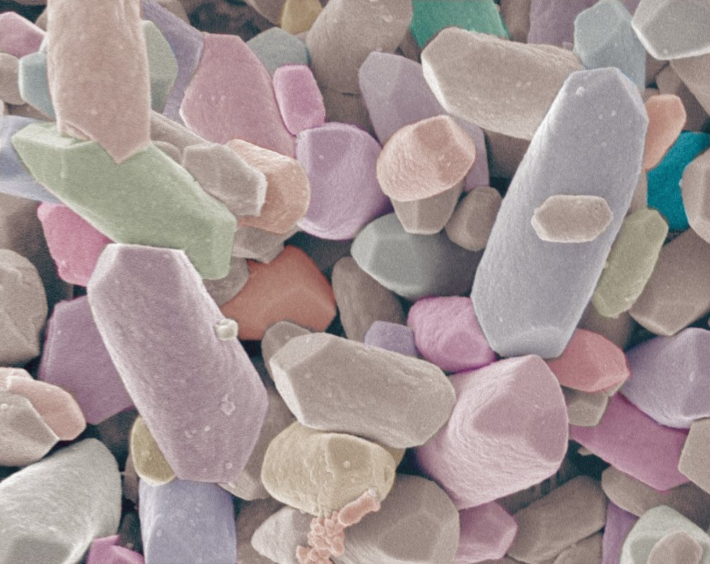 Detail of Otoliths from the Inner Ear of a Rabbit by Anonymous