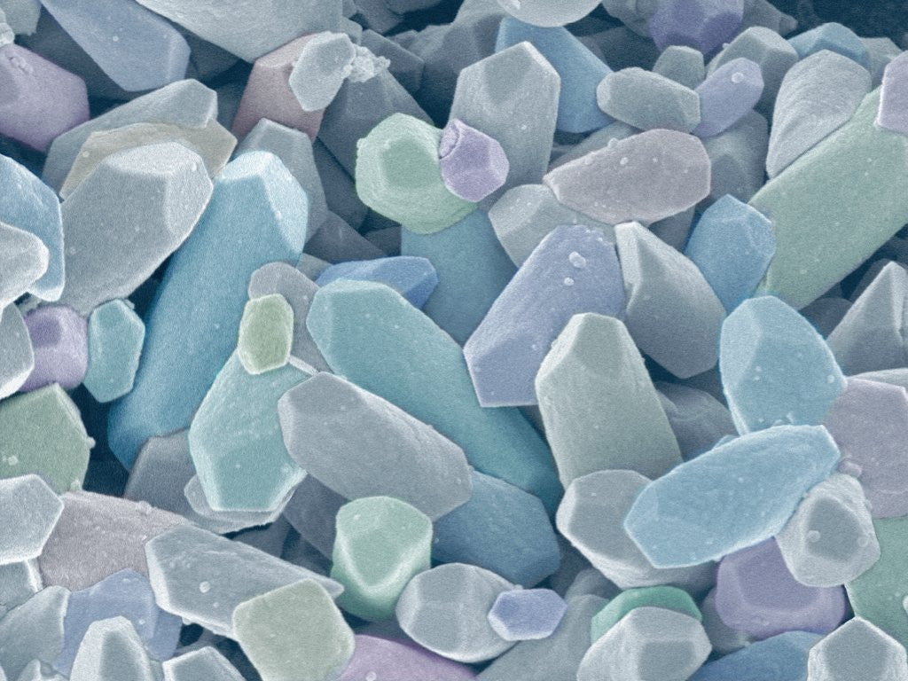 Detail of Otoliths from the Inner Ear of a Rabbit by Anonymous