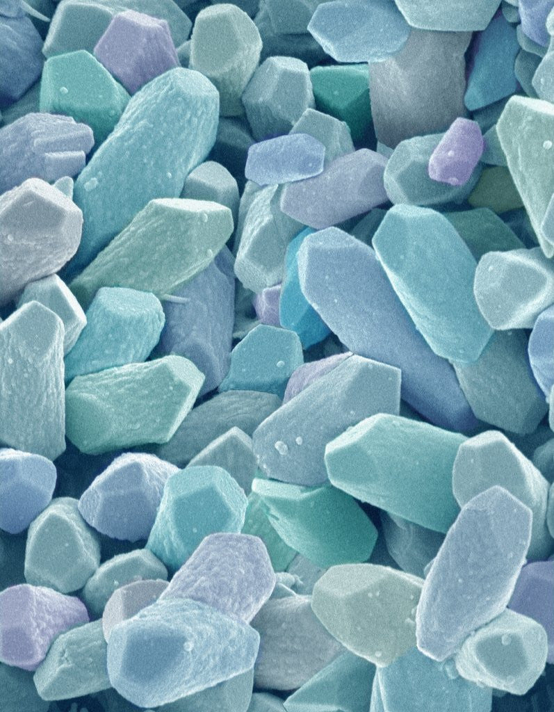 Detail of Otoliths from the Inner Ear of a Rabbit by Anonymous