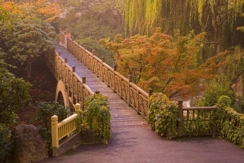 Detail of Footbridge Through the Autumn Colors by Corbis