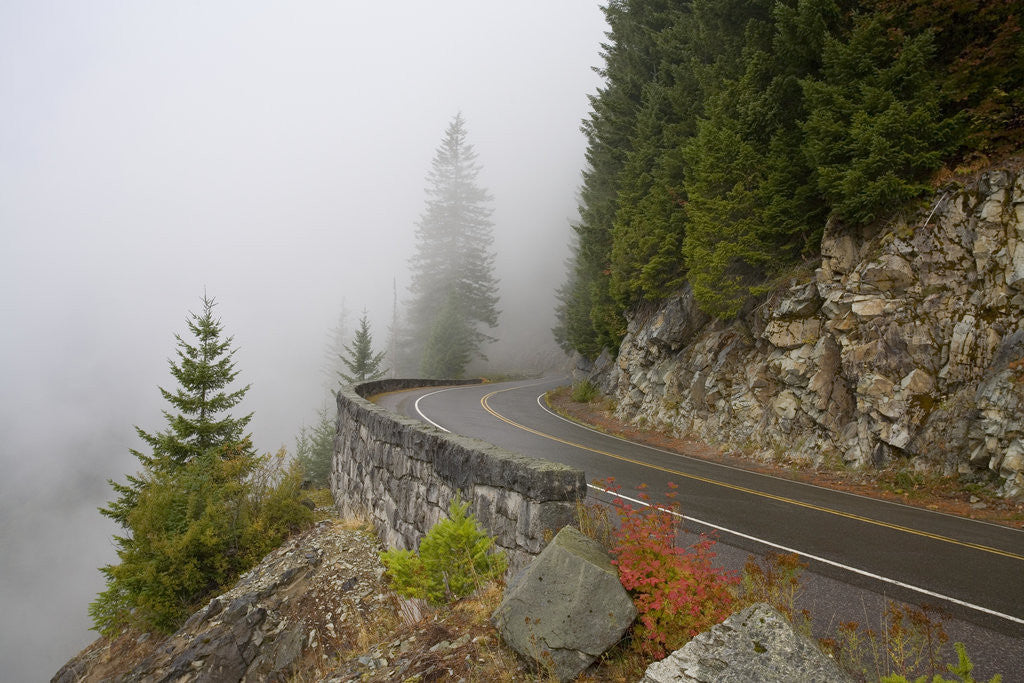 Detail of Mountain Road Through the Fog by Anonymous