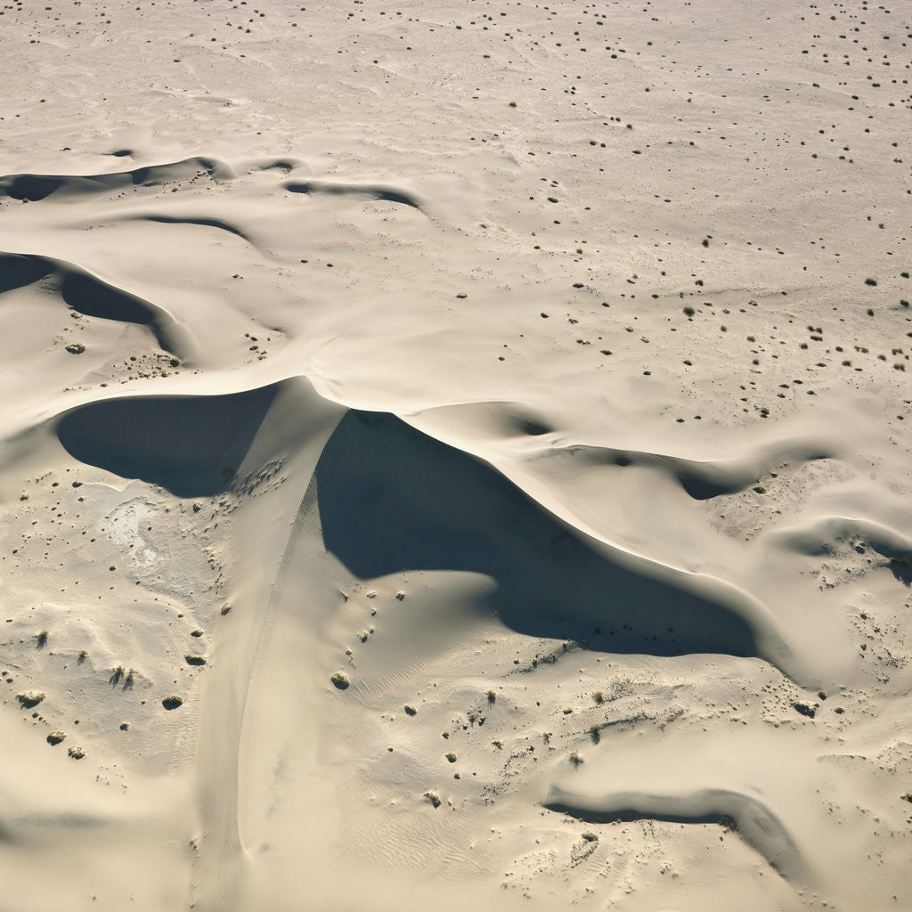 Detail of Sand Dunes by Anonymous