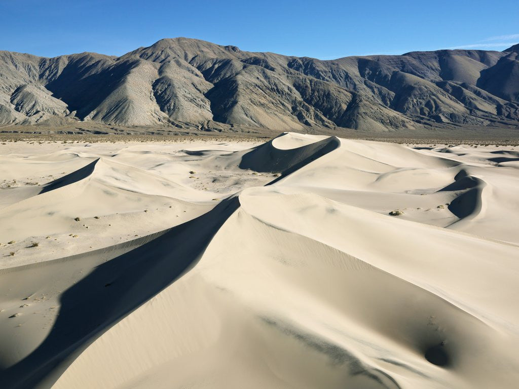Detail of Sand Dunes by Anonymous
