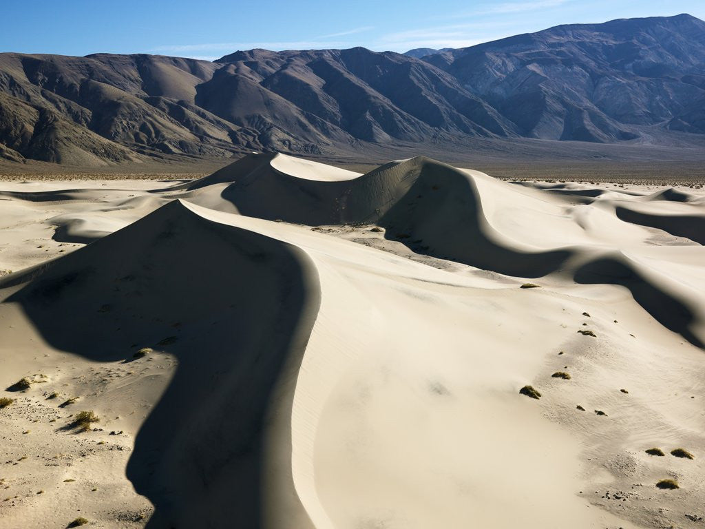Detail of Sand Dunes by Anonymous