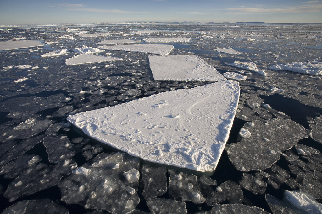 Detail of Pans of Ice in Weddell Sea by Anonymous