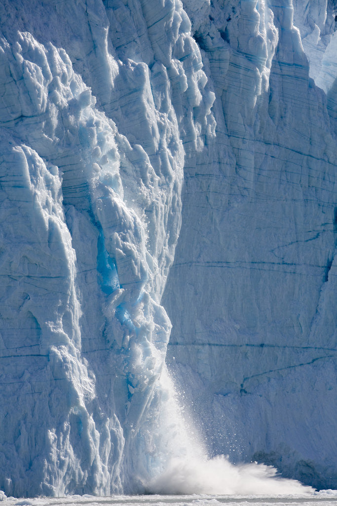 Detail of Icebergs Calving From Equip Sermia Glacier by Anonymous
