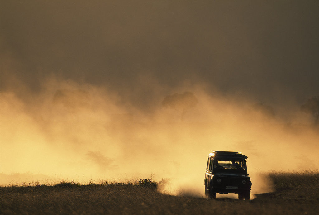 Detail of SUV Driving Across Savanna by Anonymous