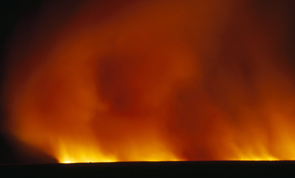 Detail of Grass Fire at Night by Anonymous
