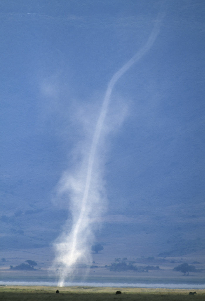 Detail of Whirlwind Rising from Savanna by Anonymous