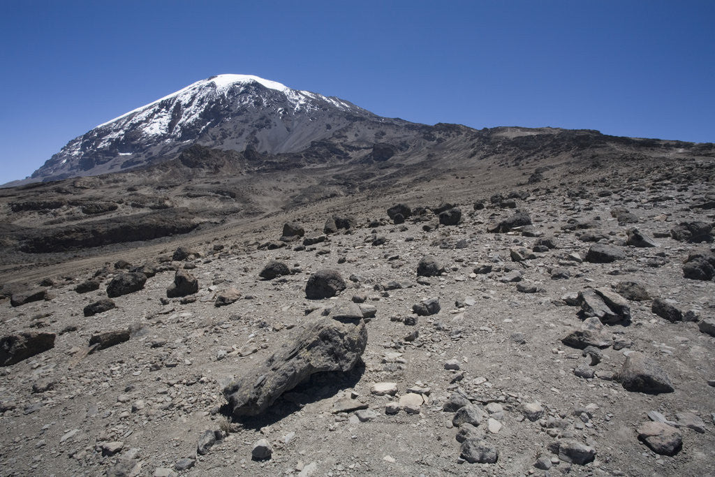 Detail of Mount Kilimanjaro by Anonymous