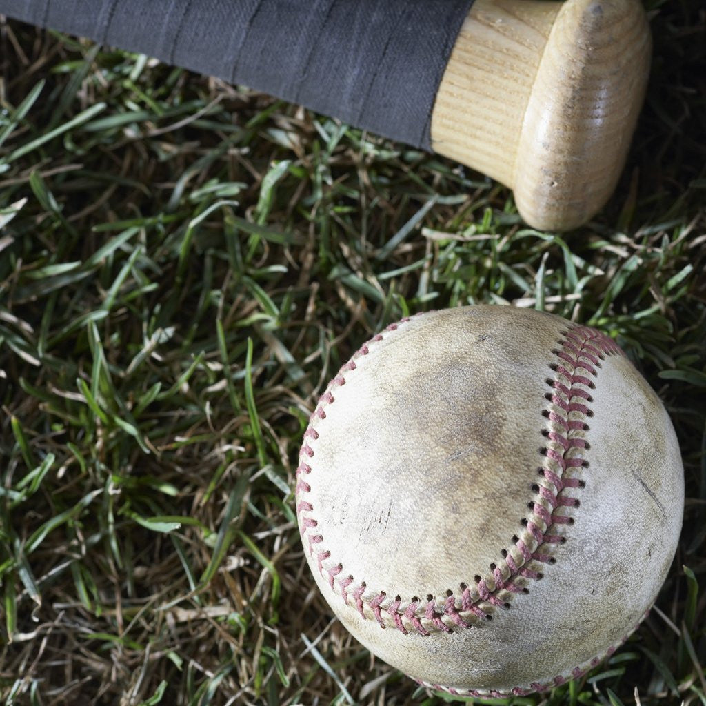 Detail of Bat and Ball by Corbis