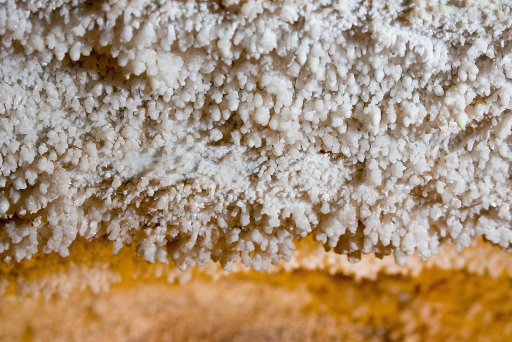 Detail of Popcorn Cave Formations by Anonymous