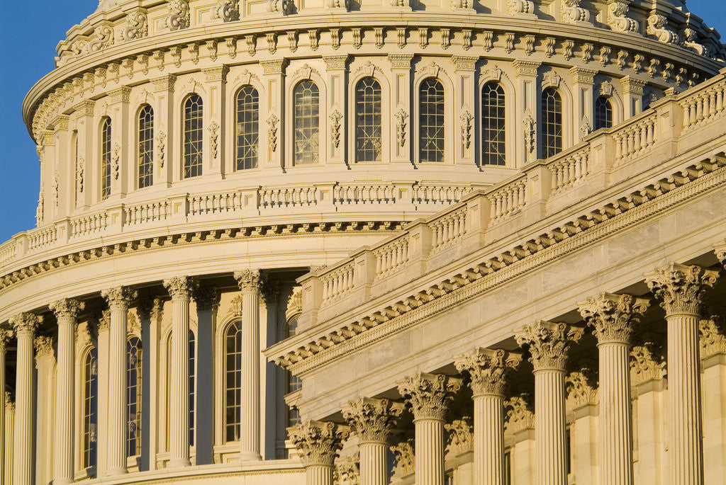 Detail of Capitol Building by Anonymous