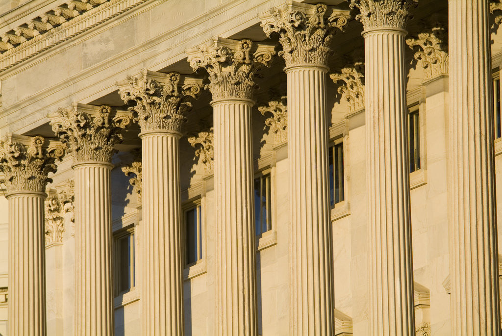 Detail of Columns on Capitol Building by Anonymous