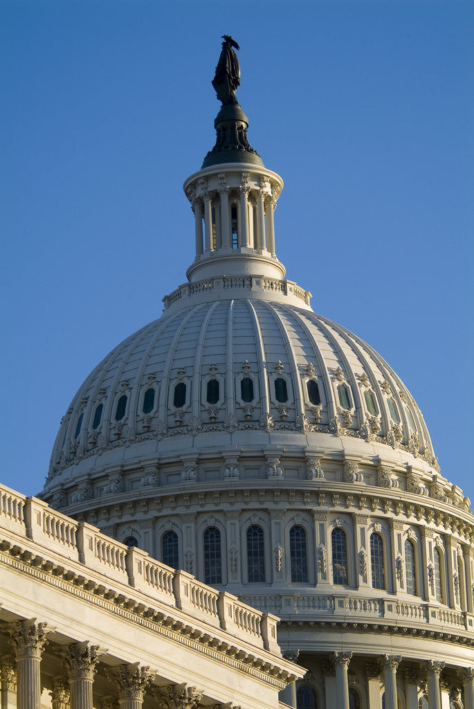 Detail of Capitol Building by Anonymous