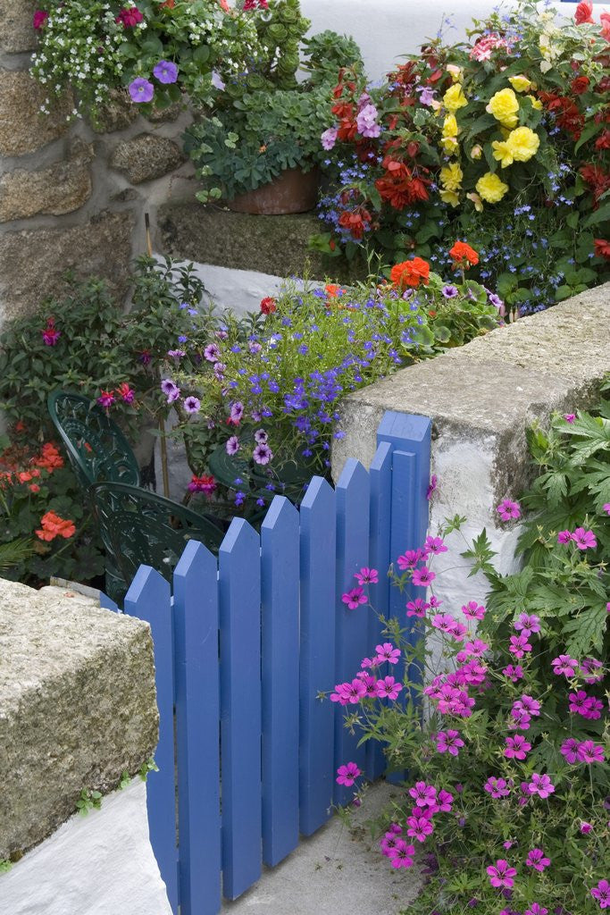Detail of Blue Garden Gate in Spring Garden by Corbis