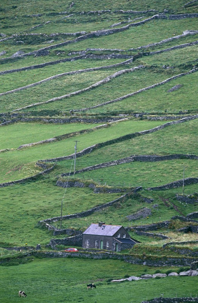 Detail of Cottage and Farm at Garraun Point by Anonymous
