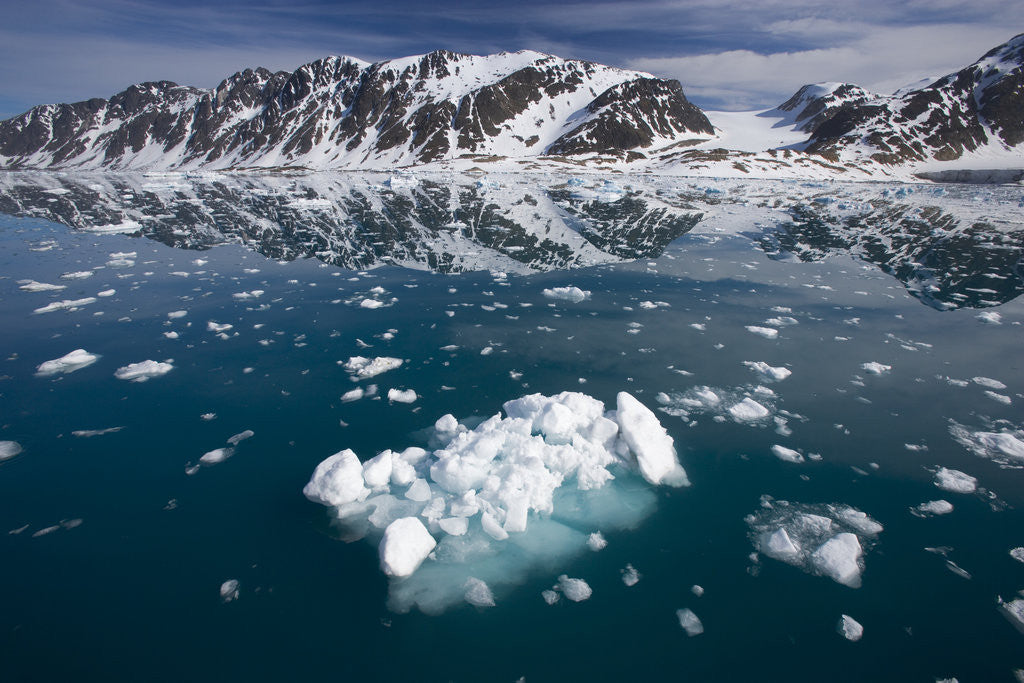 Detail of Bergy Bits Near Spitsbergen Island by Anonymous