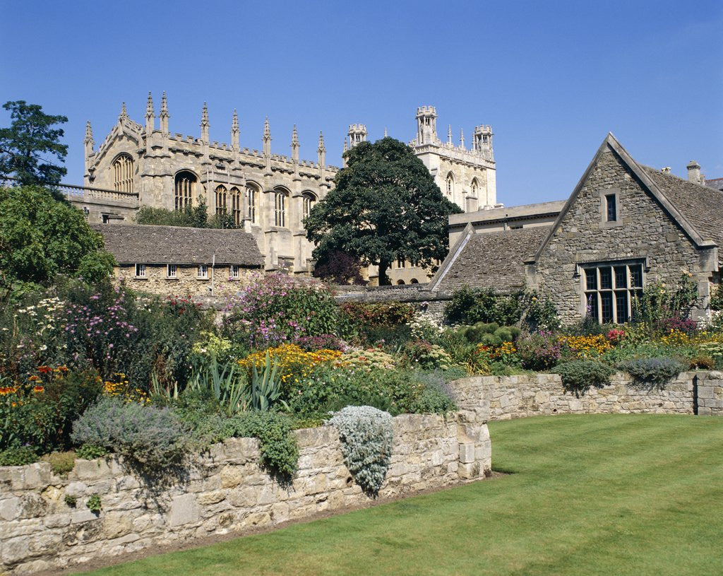 Detail of Garden at Christ Church College by Anonymous