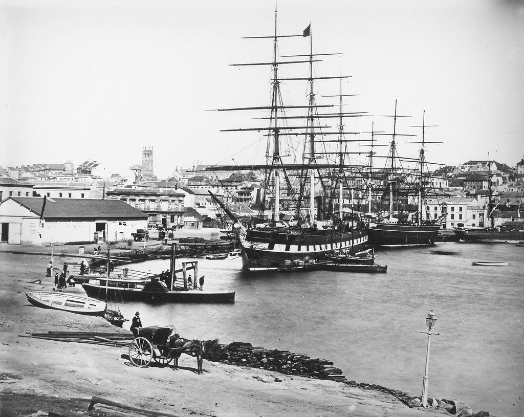 Detail of Circular Quay in Sydney in 1868 by Anonymous