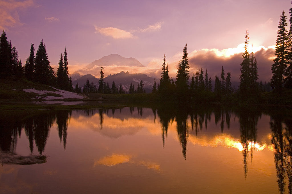 Detail of Tipsoo Lake and Mount Rainier by Anonymous