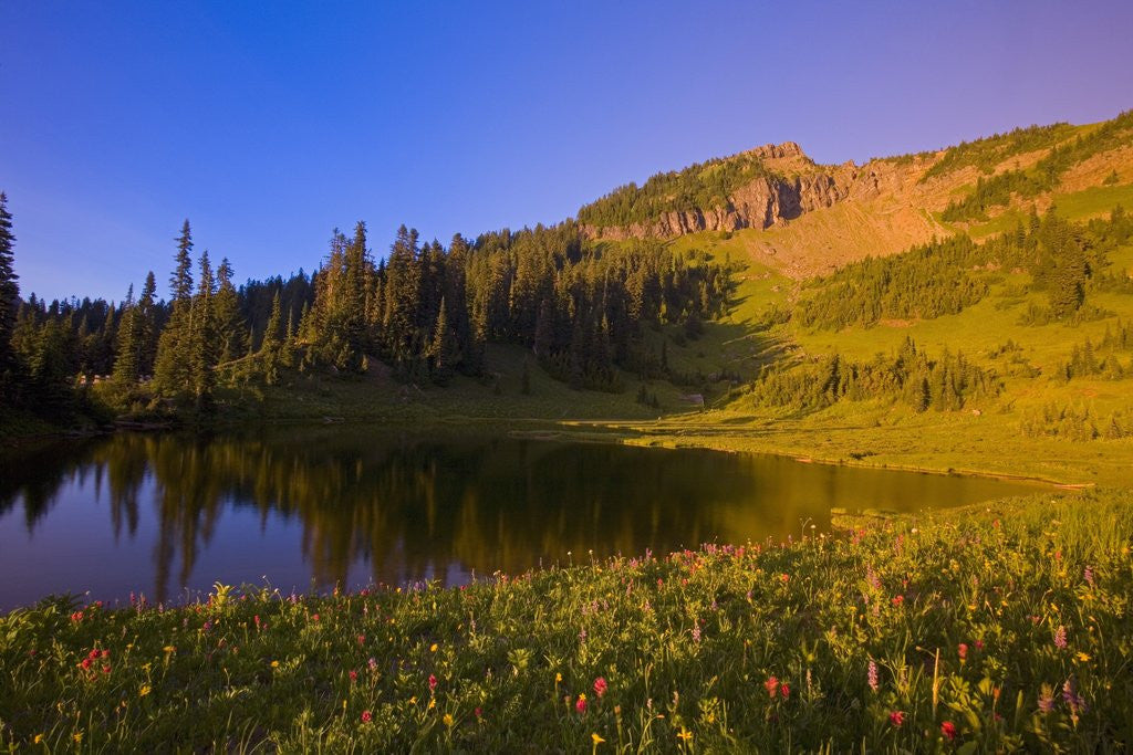 Detail of Tipsoo Lake and Naches Peak by Anonymous