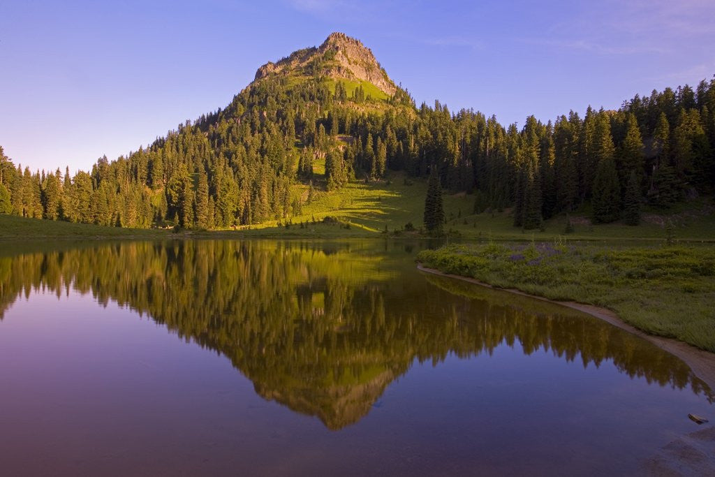 Detail of Yakima Peak and Tipsoo Lake by Anonymous