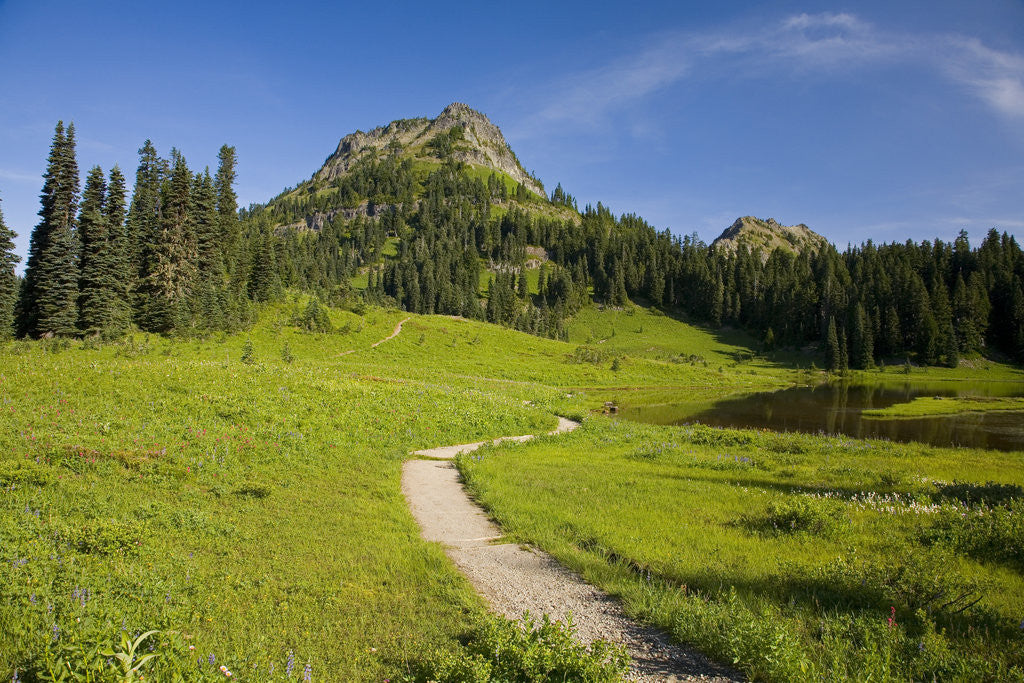Detail of Yakima Peak and Tipsoo Lake by Anonymous