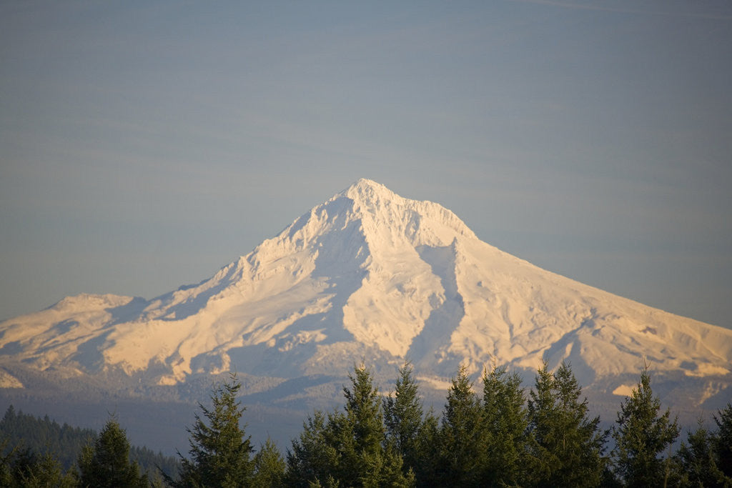 Detail of Mount Hood by Anonymous