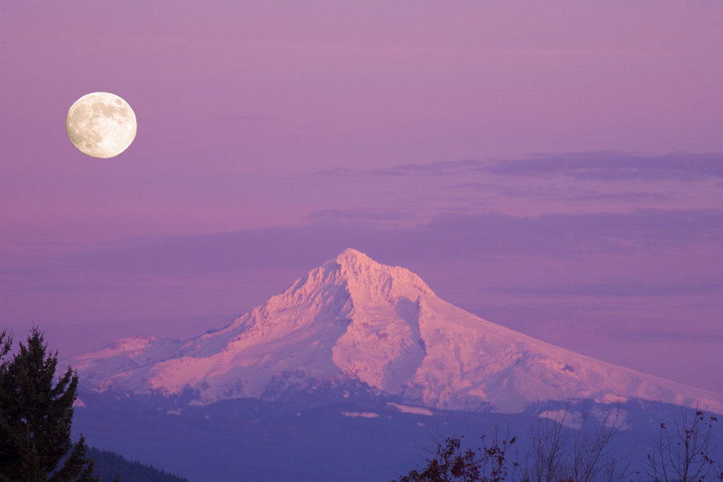 Detail of Mount Hood and Full Moon by Anonymous