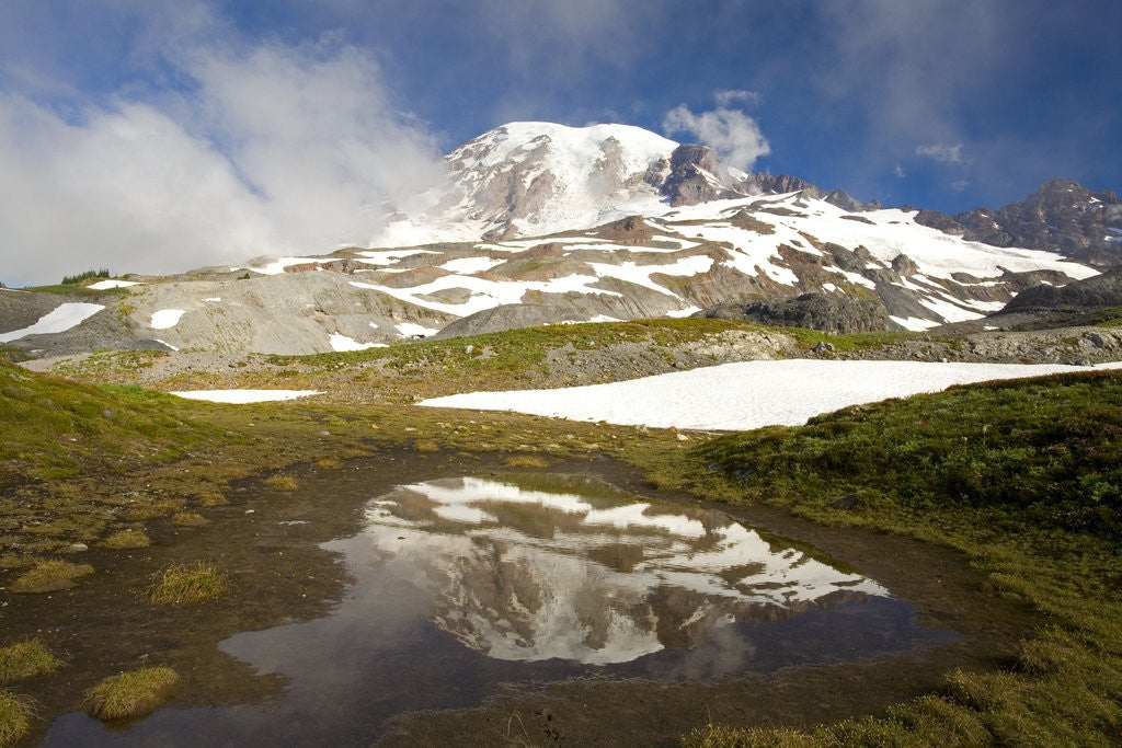Detail of Mount Rainier Reflecting on Pond by Anonymous