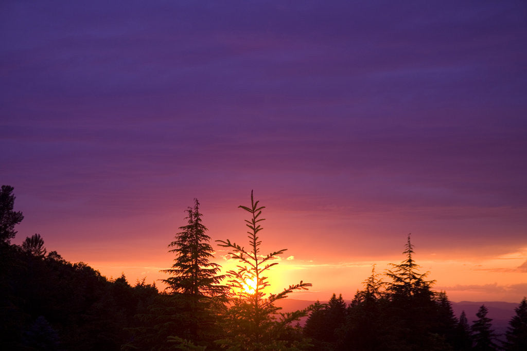 Detail of Sunset at Columbia River Gorge by Anonymous