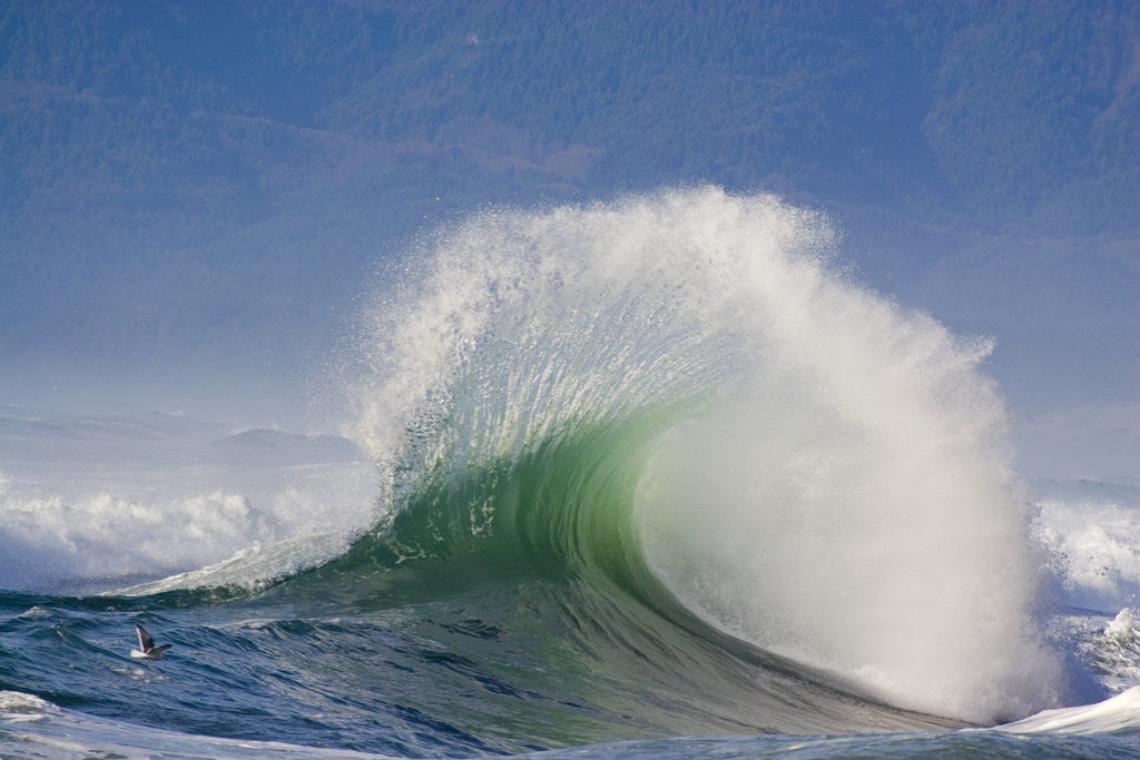 Detail of Wave Curl in Winter Storm by Anonymous